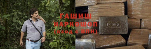 PSILOCYBIN Богородицк
