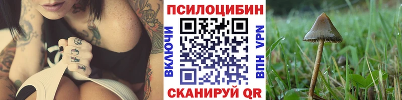 Псилоцибиновые грибы Psilocybe  нарко площадка клад  Горно-Алтайск 